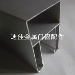 ˫